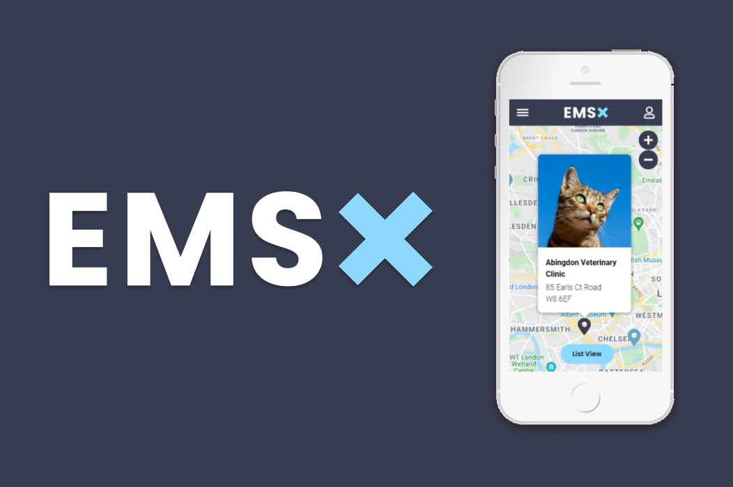 Emsx Logo with Mobile Version of the site
