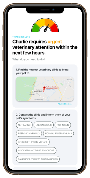 Felcana triage screen showing a pets symptoms along with the pet advice 